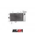 YAMAHA MT 125 MT-125 2014-2019 RADIATEUR - NEUF