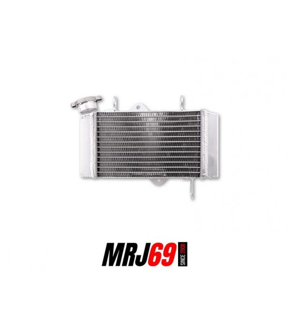 YAMAHA MT 125 MT-125 2014-2019 RADIATEUR - NEUF